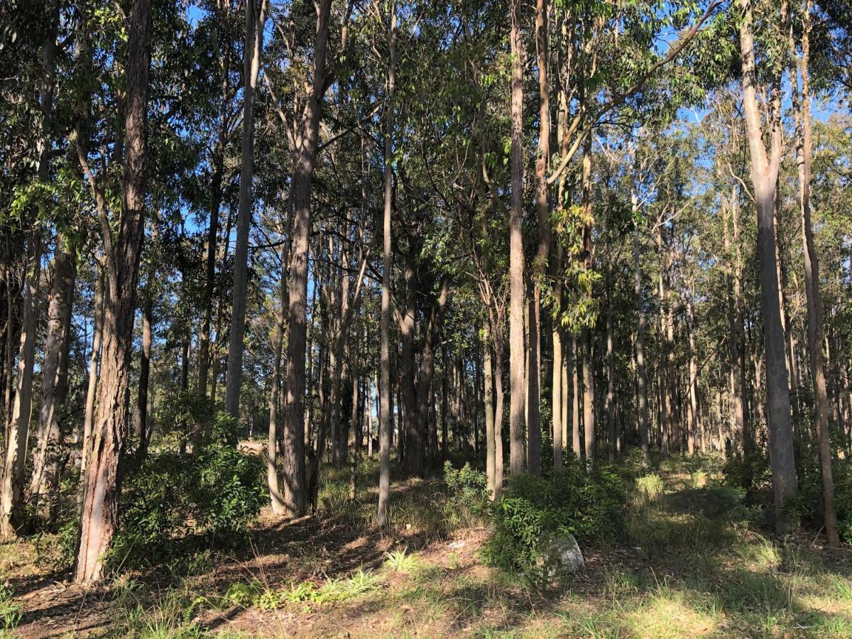Australian Motor Home Tourist Park Twelve Mile Creek Karuah Exterior foto